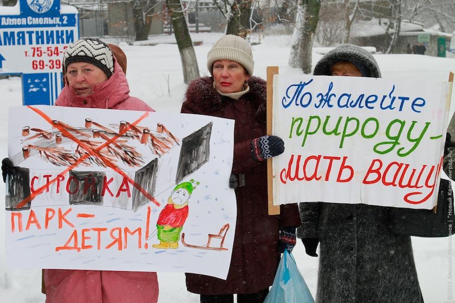 "Зеленые терминаторы": репортаж "Нового Калининграда.Ru"